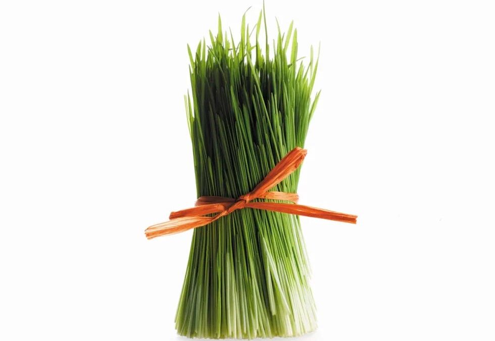 Annunciare l’unione di due cooperative.