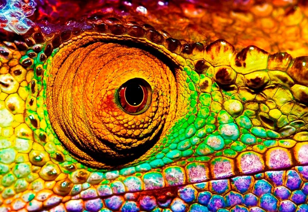 Impatto visivo per la tecnologia ottica.