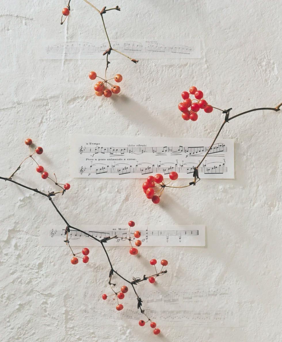 1_Muggia-980x1189 Corpore