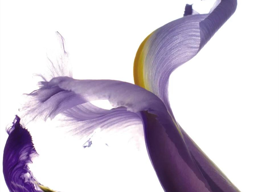 Il beauty più naturale su riviste e vetrine.