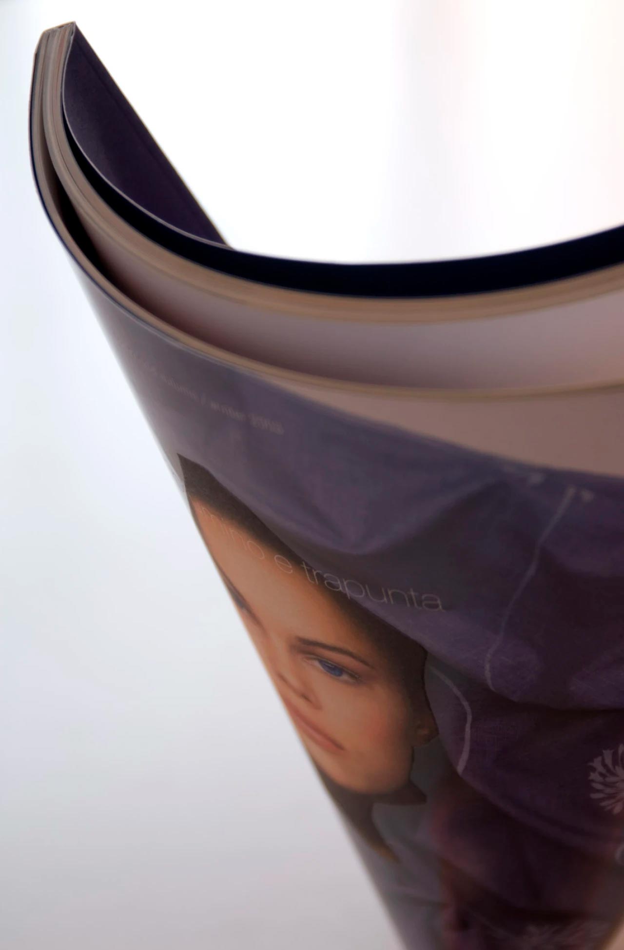 2_Anversa DogSat mappa