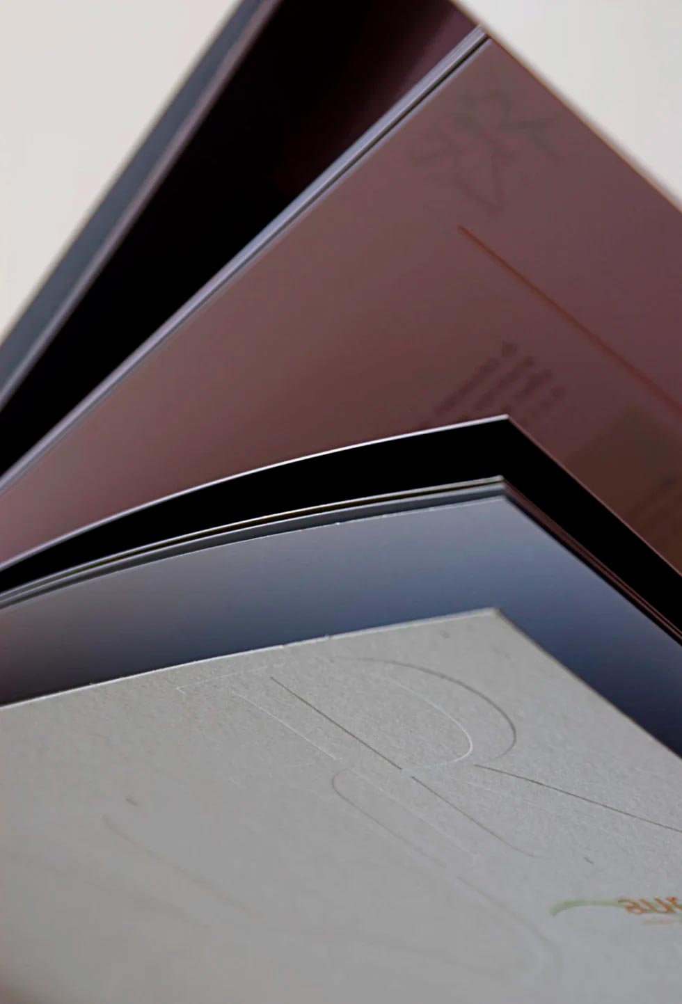 2_AuroraDomus-980x1443 DogSat mappa