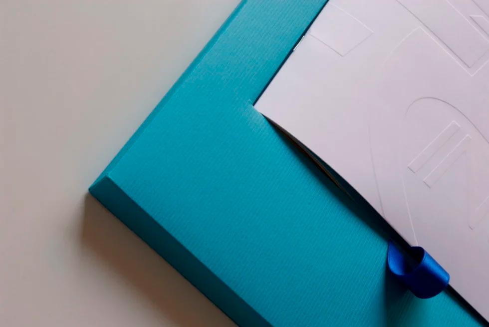 2_CSFInoxGroup-980x655 DogSat mappa