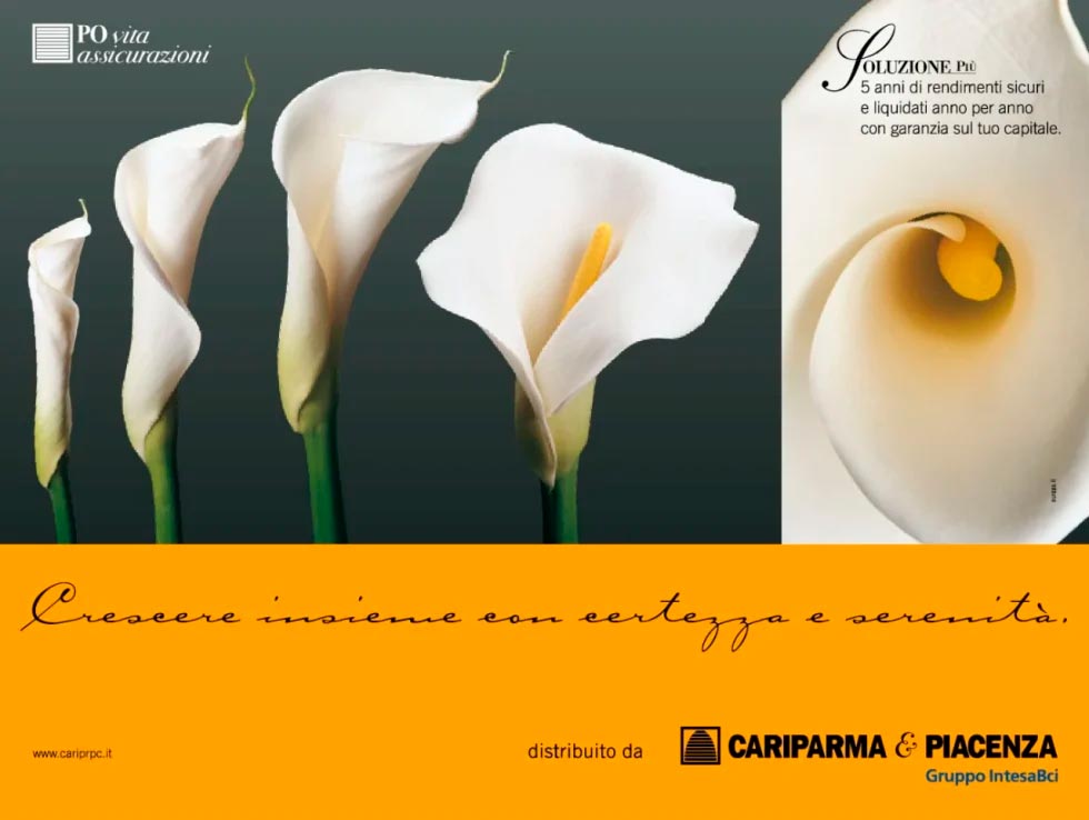 2_Cariparma-980x738 DogSat mappa