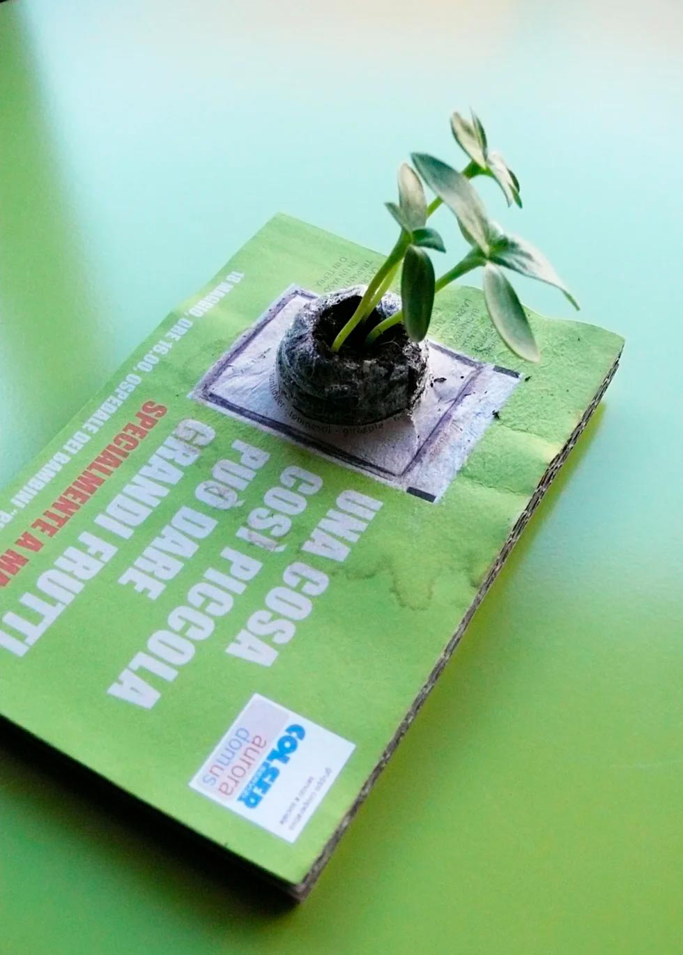 2_ColserAuroraDomus-980x1370 DogSat mappa