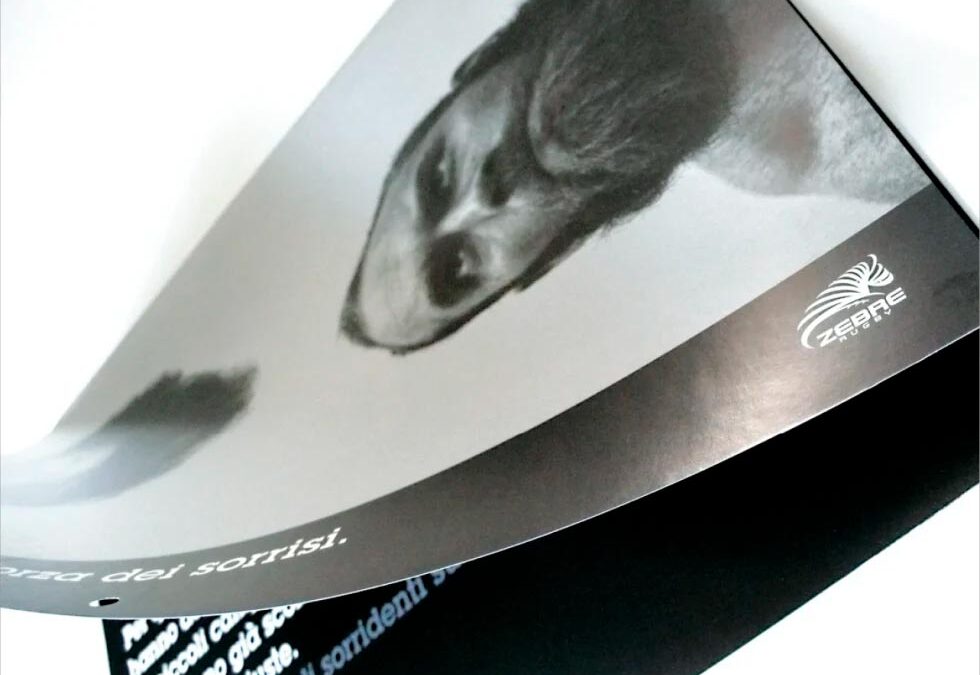 Fotografare la positività per vincere malattie ingiuste.