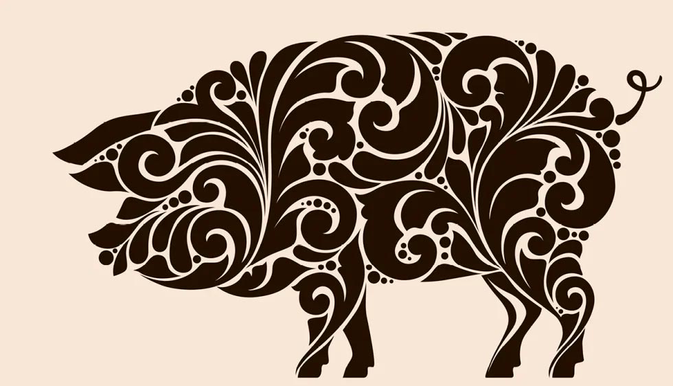 9_E20-980x562 Corpore