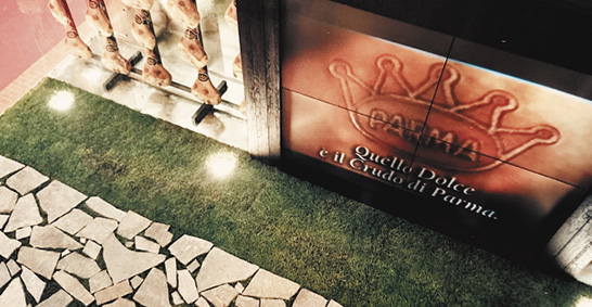 marketing-aziendale-cleca-san-martino-dall-argine-mantova